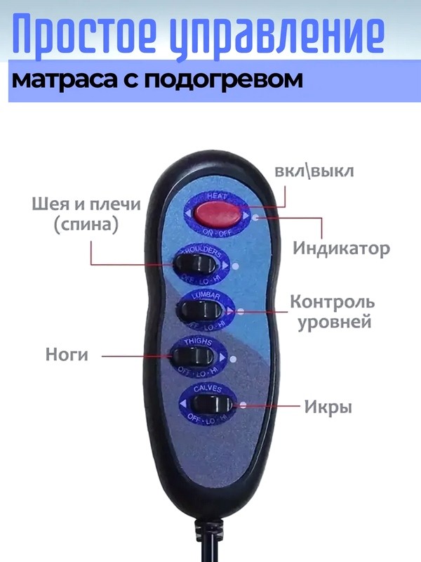 SEC6.jpg