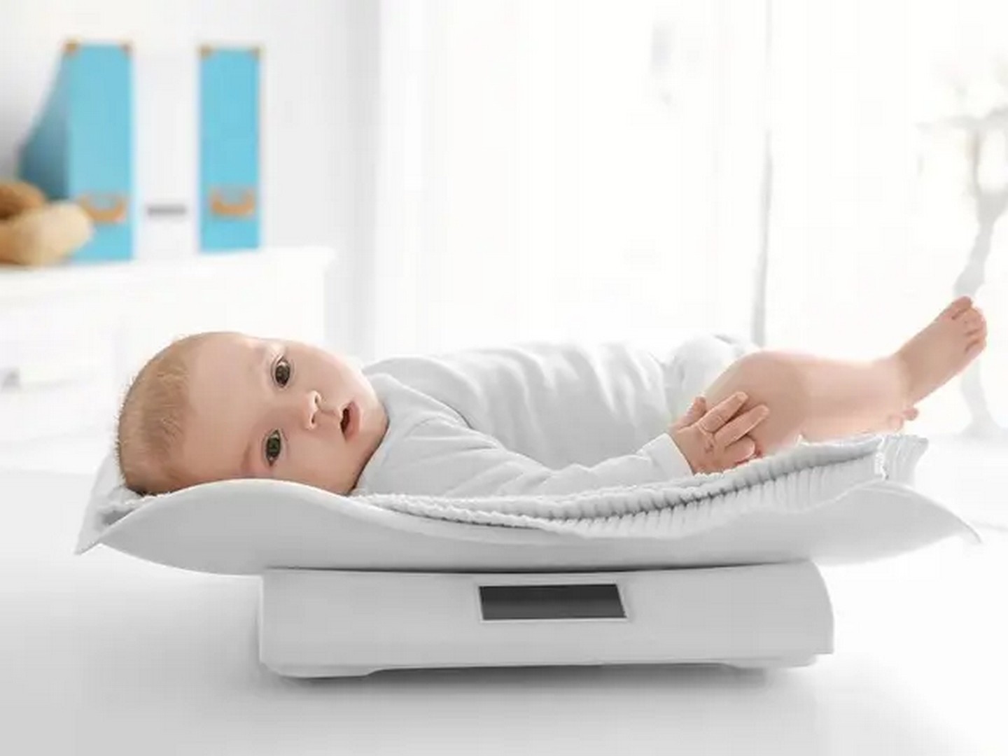 SEC1.jpg