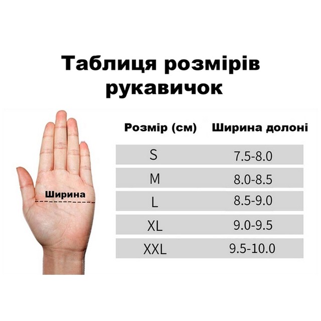 SEC8.jpg
