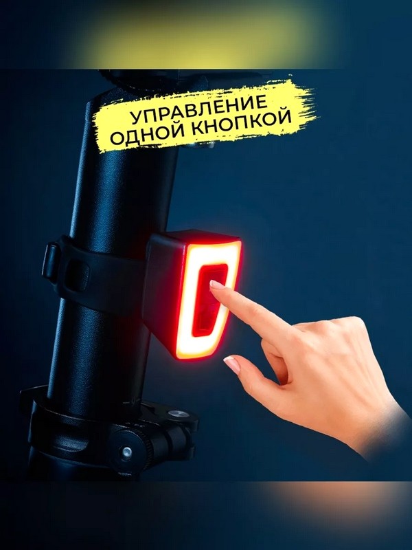 SEC5.jpg