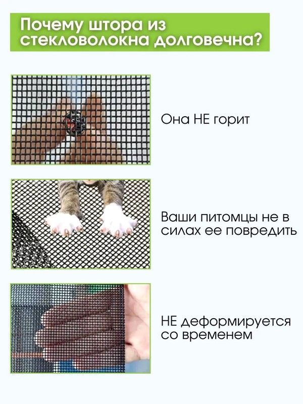 SEC6.jpg